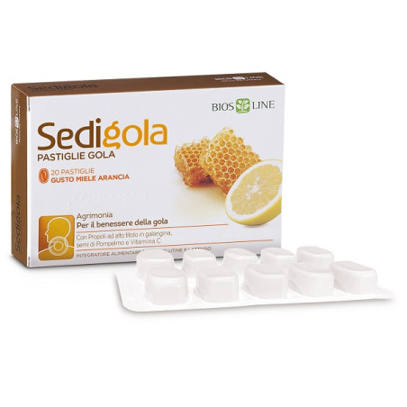 APIX SEDIGOLA MIELE ARA 20PAST