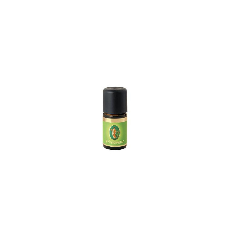 AROMATERAPIA ZENZERO OE 5ML