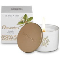 OSMANTHUS CANDELA C/COPERCHIO