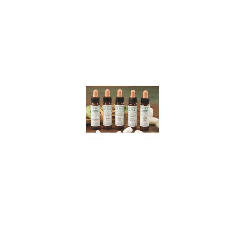 AINSWORTHS WALNUT 10ML