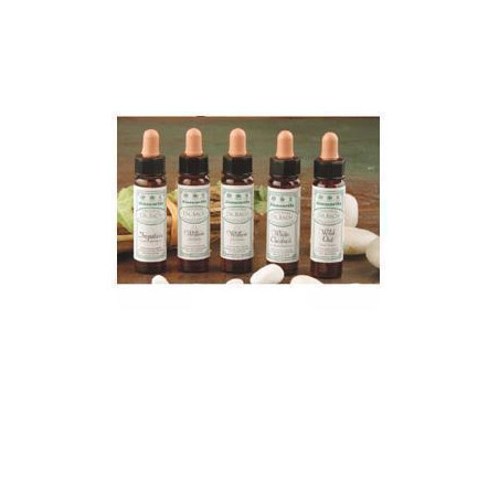 AINSWORTHS WALNUT 10ML