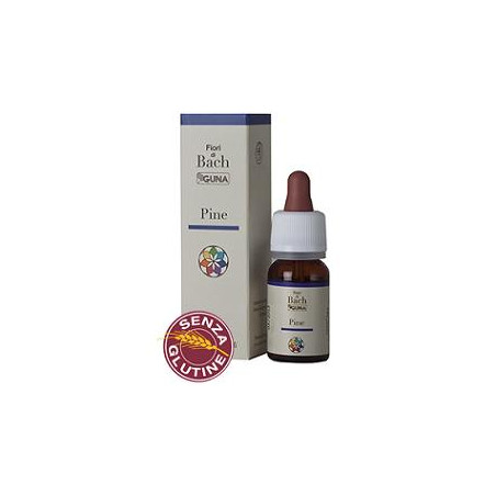 PINE GUN GTT 10ML